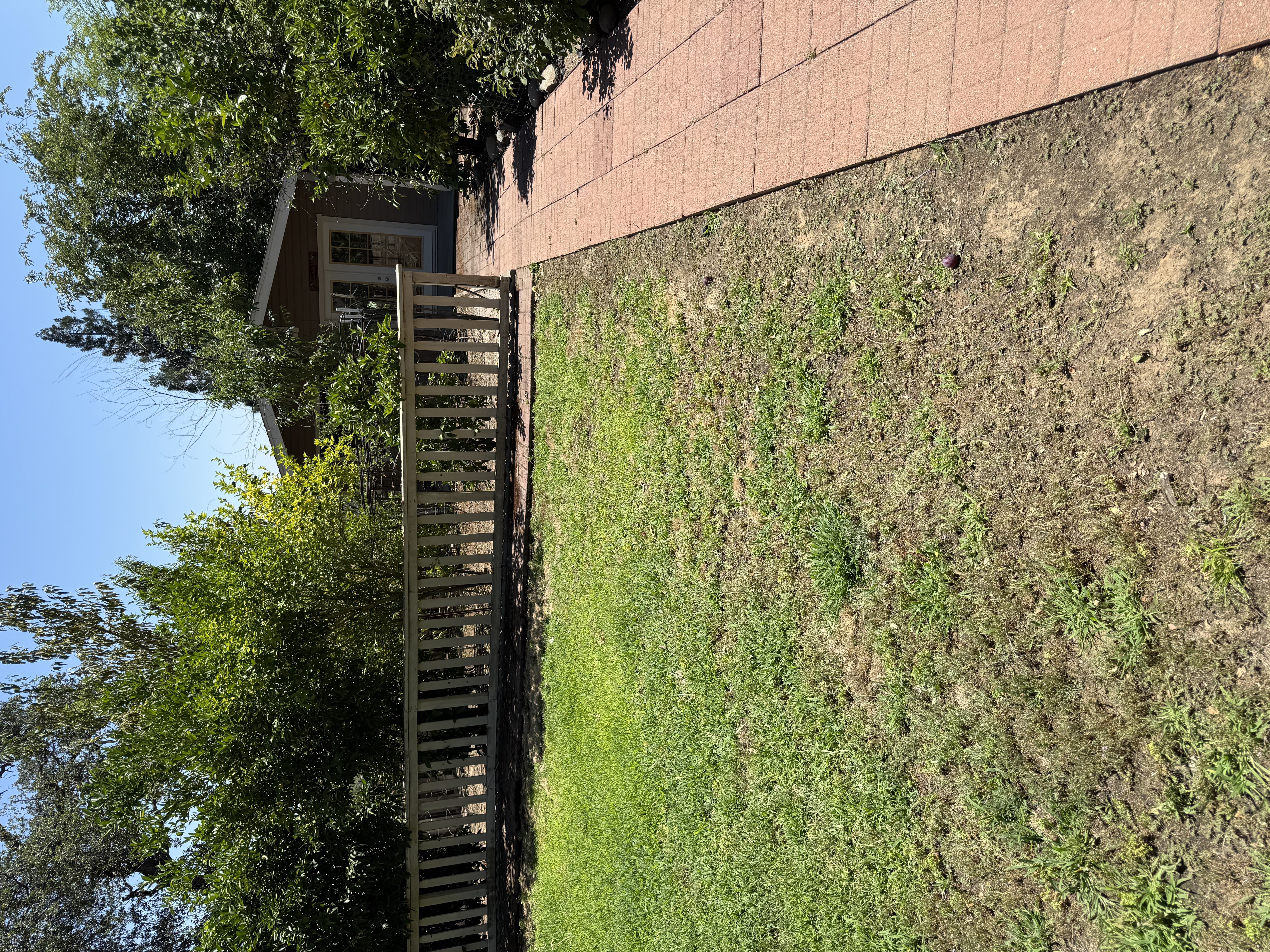After: area fully cleared