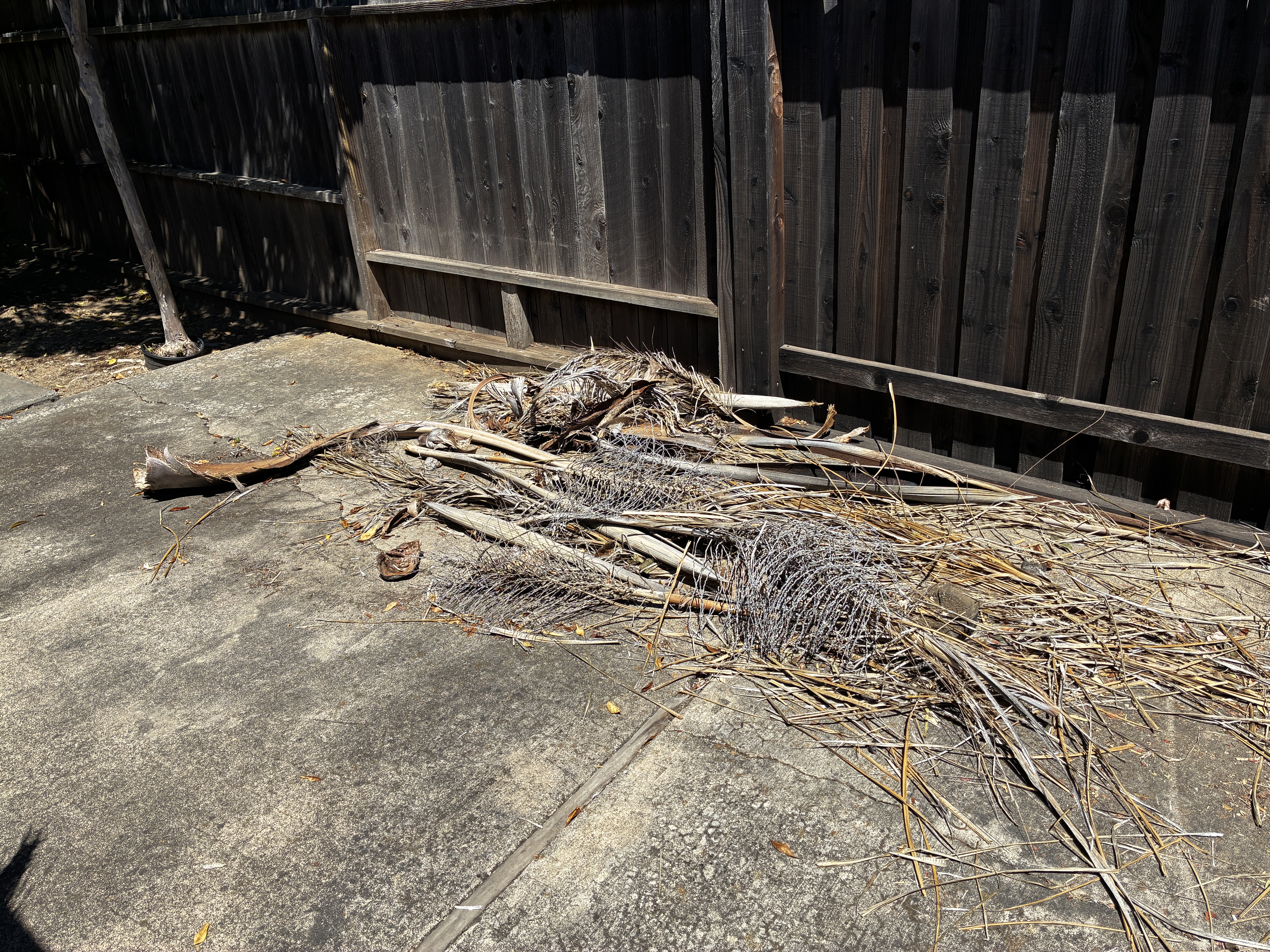 Before: debris pile along fence